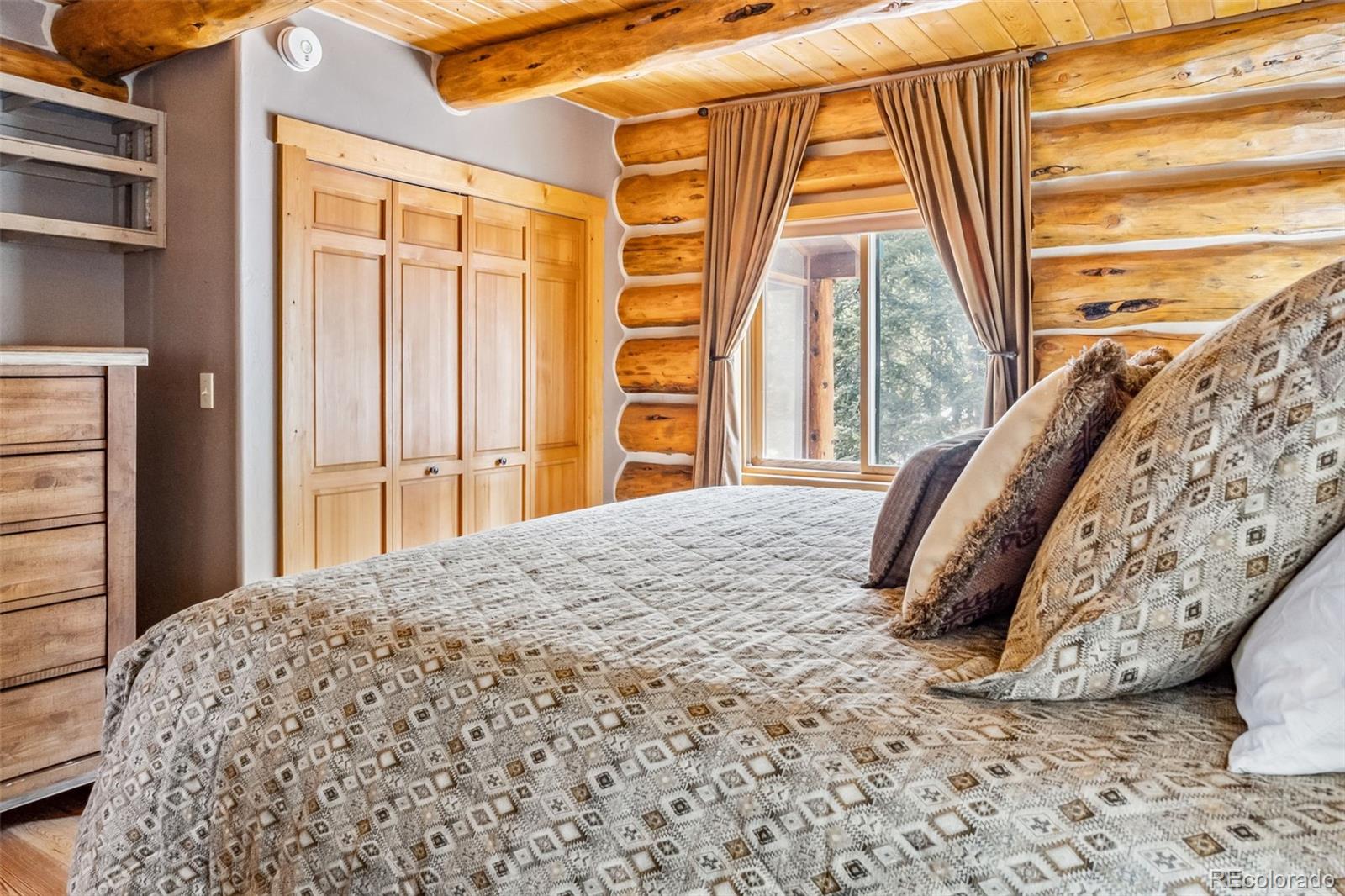 MLS Image #12 for 795  zebulon street,alma, Colorado