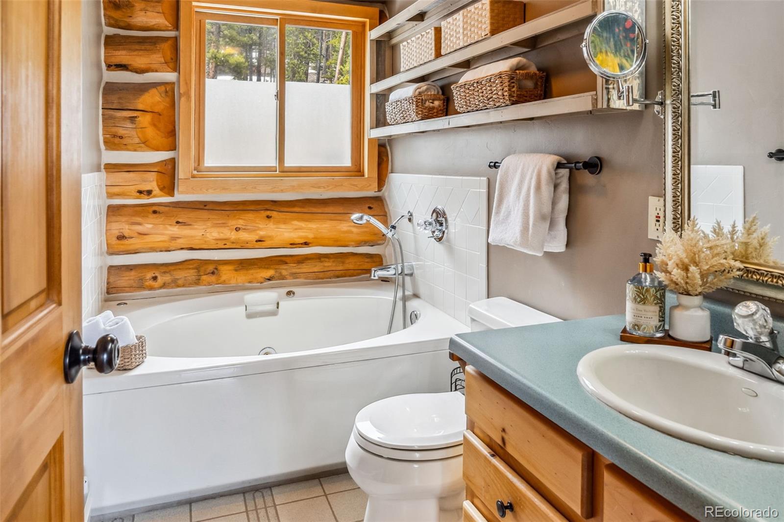 MLS Image #13 for 795  zebulon street,alma, Colorado