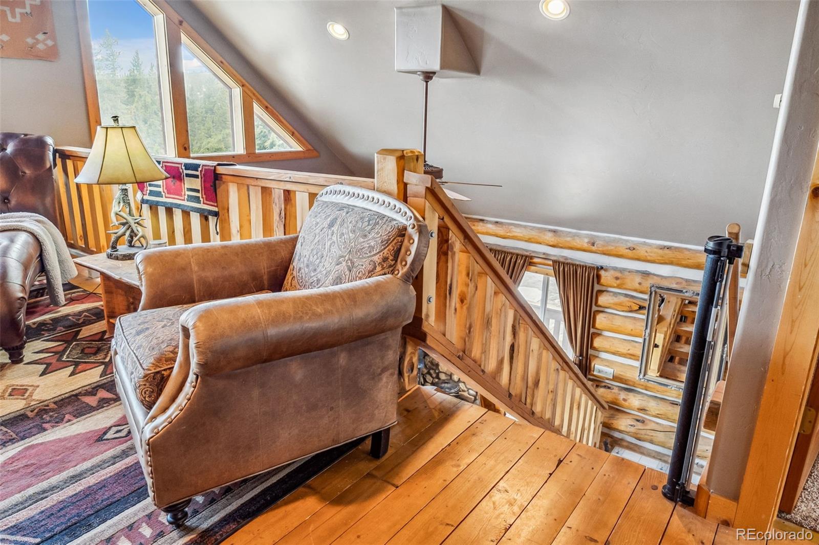 MLS Image #14 for 795  zebulon street,alma, Colorado