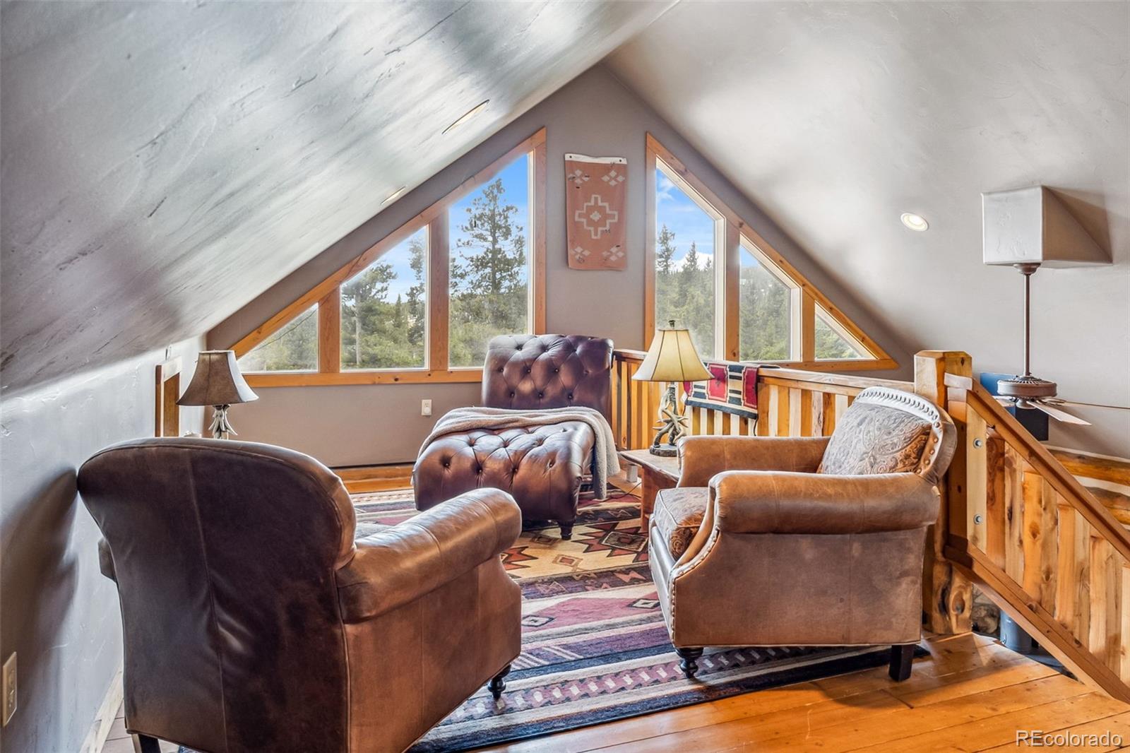 MLS Image #15 for 795  zebulon street,alma, Colorado