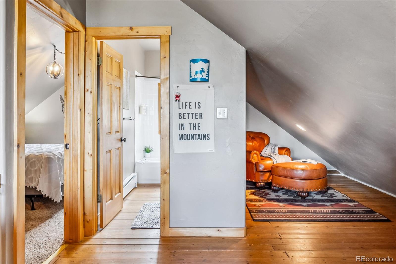 MLS Image #16 for 795  zebulon street,alma, Colorado