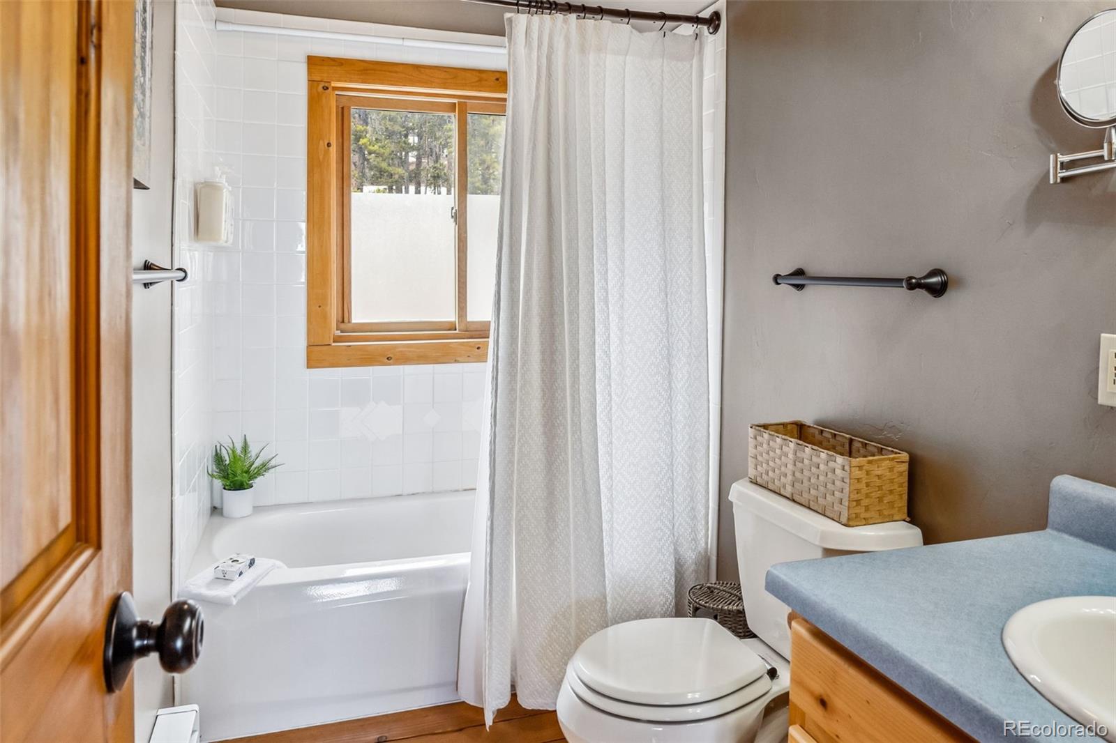 MLS Image #17 for 795  zebulon street,alma, Colorado
