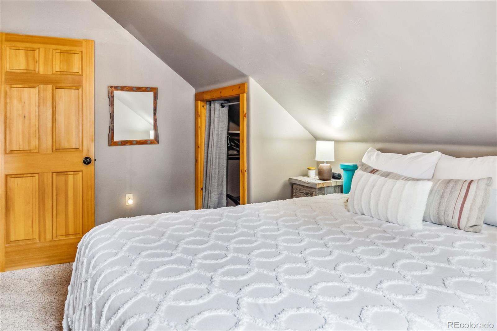MLS Image #18 for 795  zebulon street,alma, Colorado