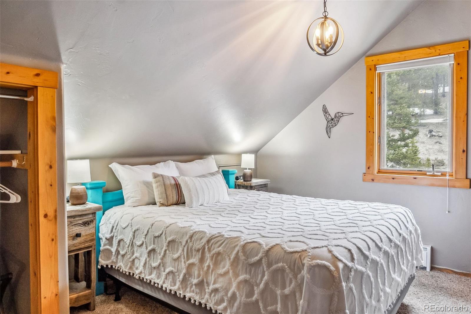 MLS Image #19 for 795  zebulon street,alma, Colorado