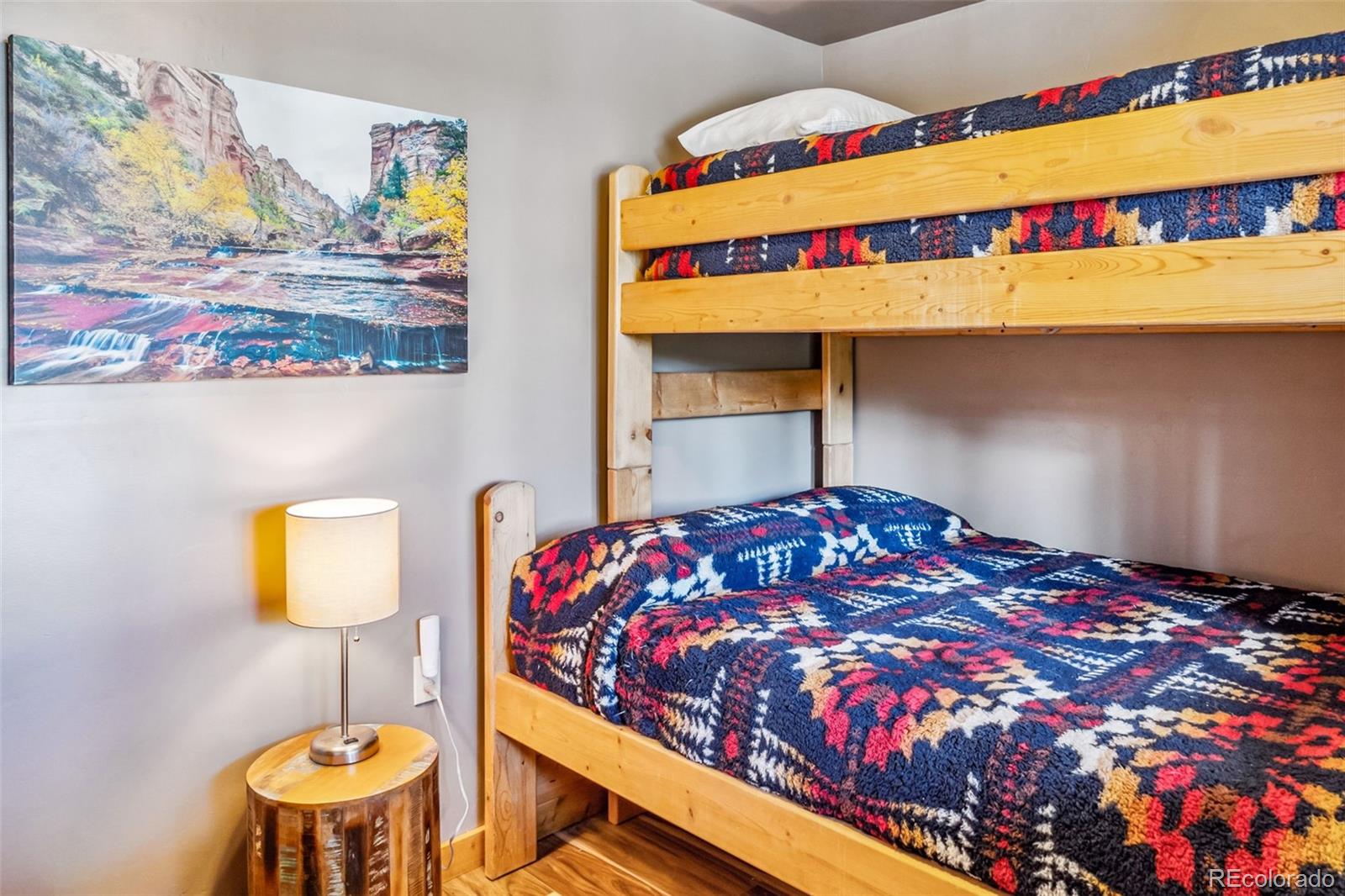 MLS Image #21 for 795  zebulon street,alma, Colorado