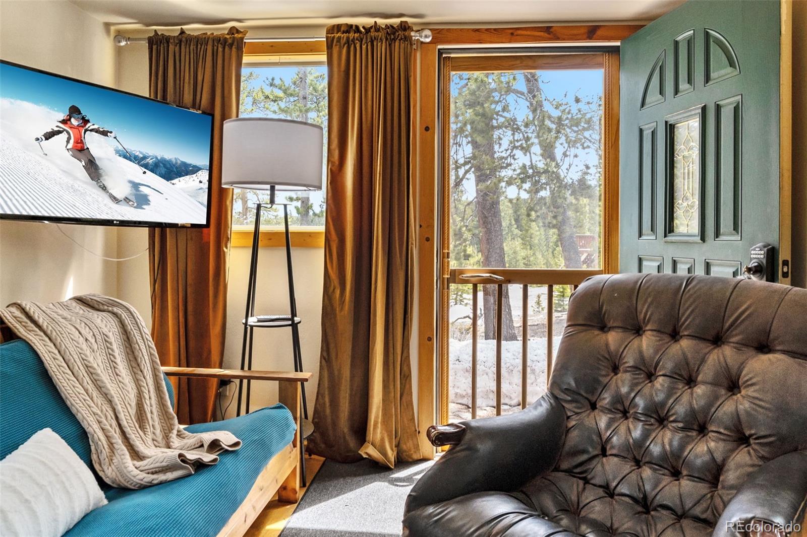 MLS Image #25 for 795  zebulon street,alma, Colorado