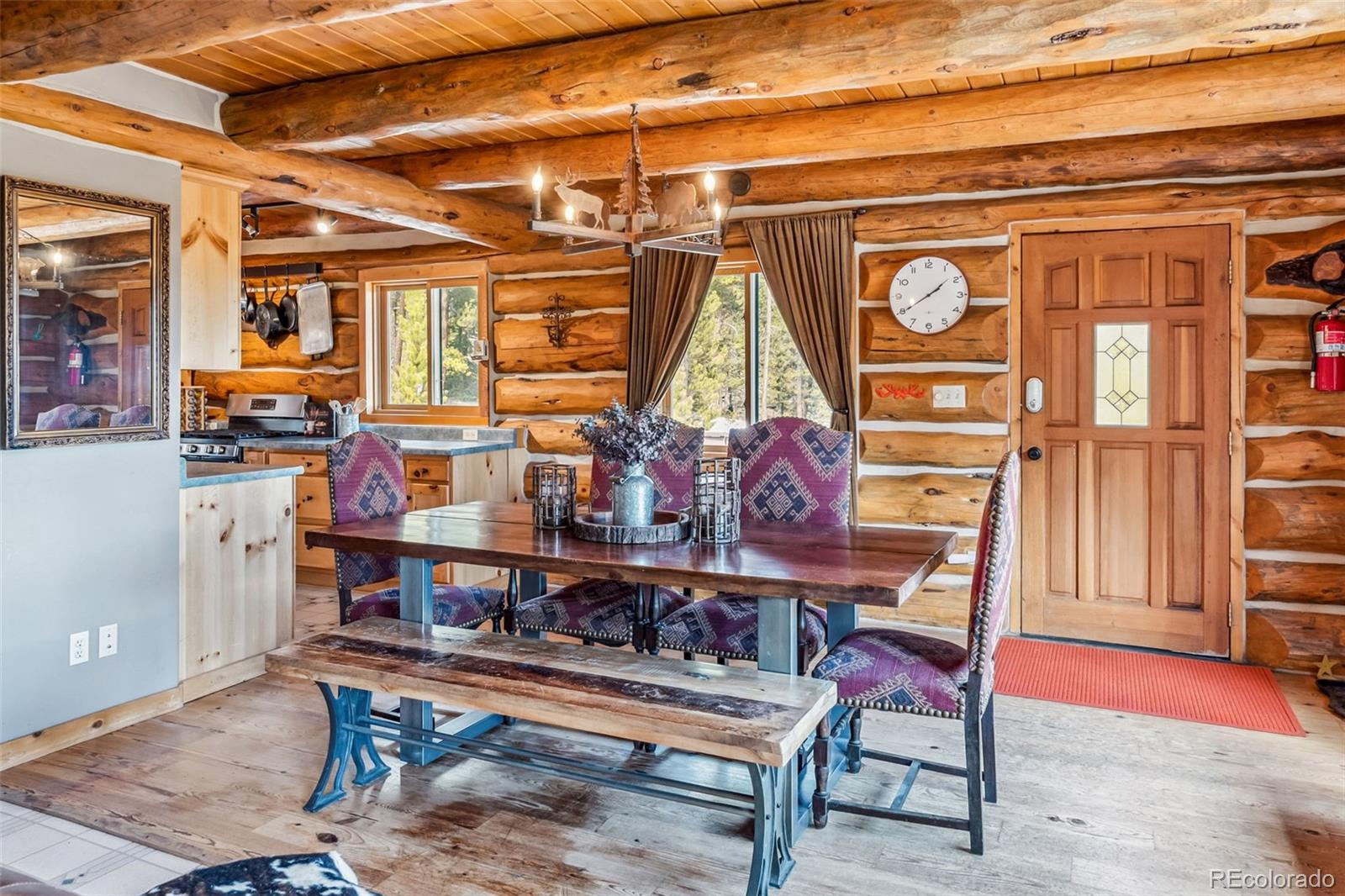 MLS Image #3 for 795  zebulon street,alma, Colorado