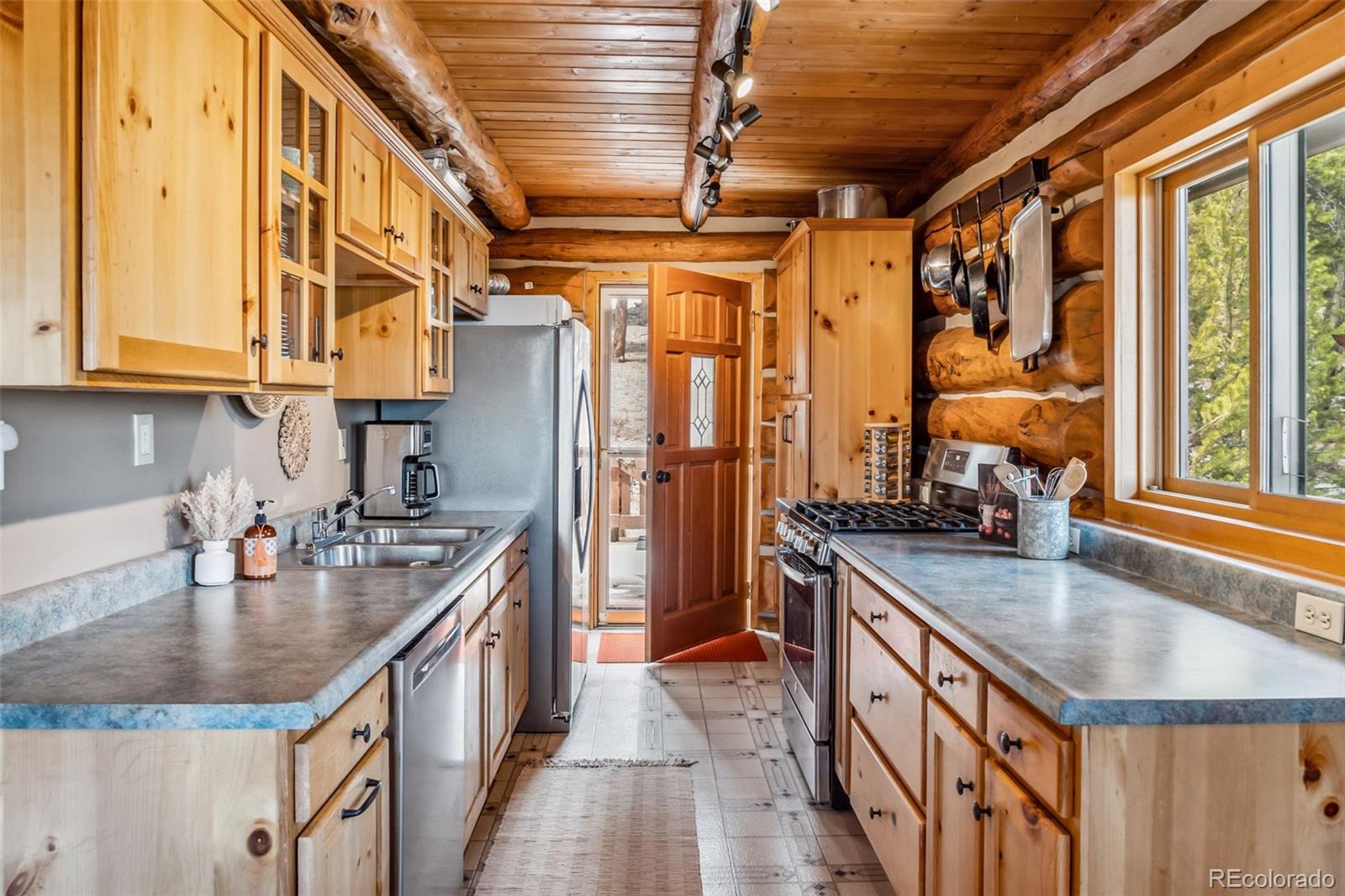 MLS Image #4 for 795  zebulon street,alma, Colorado