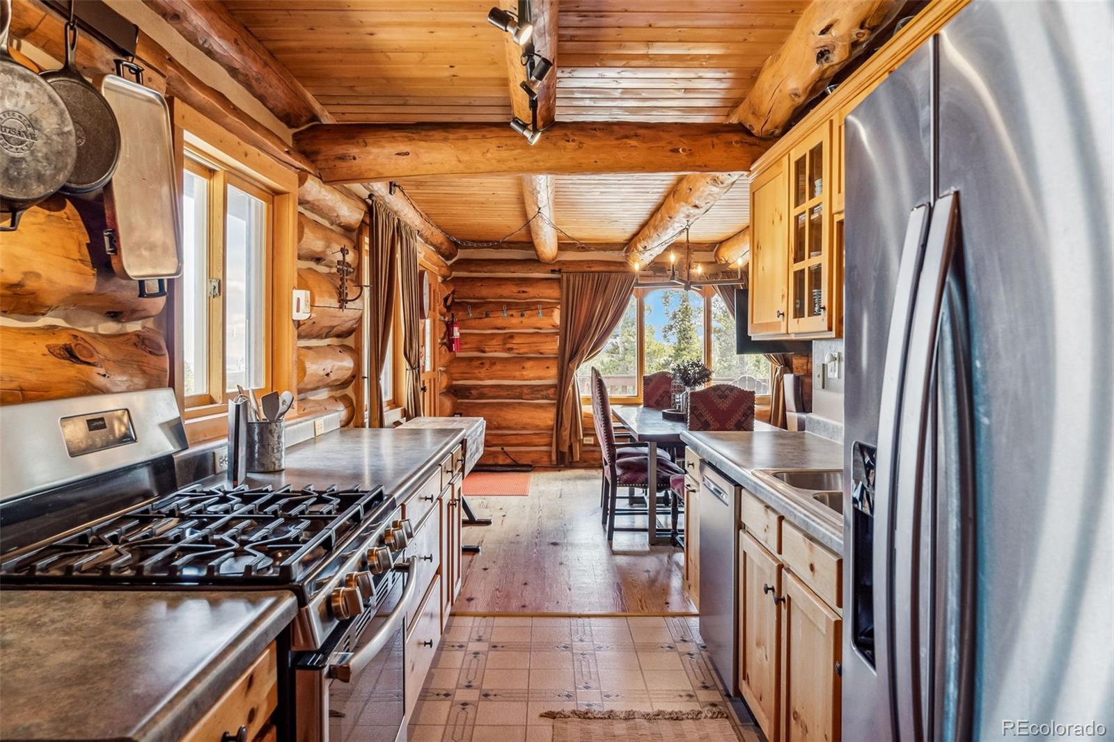 MLS Image #5 for 795  zebulon street,alma, Colorado