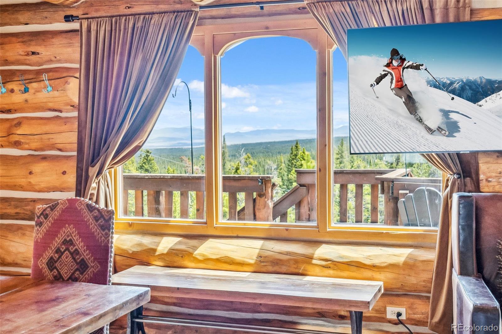 MLS Image #9 for 795  zebulon street,alma, Colorado