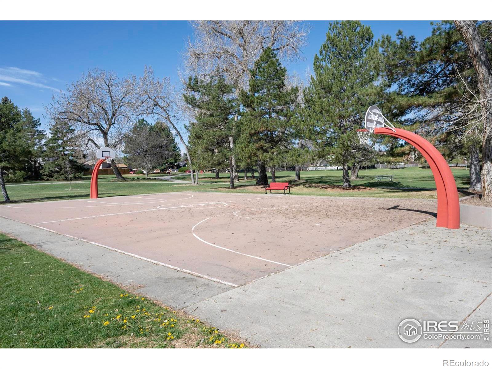 MLS Image #21 for 8479  everett way,arvada, Colorado