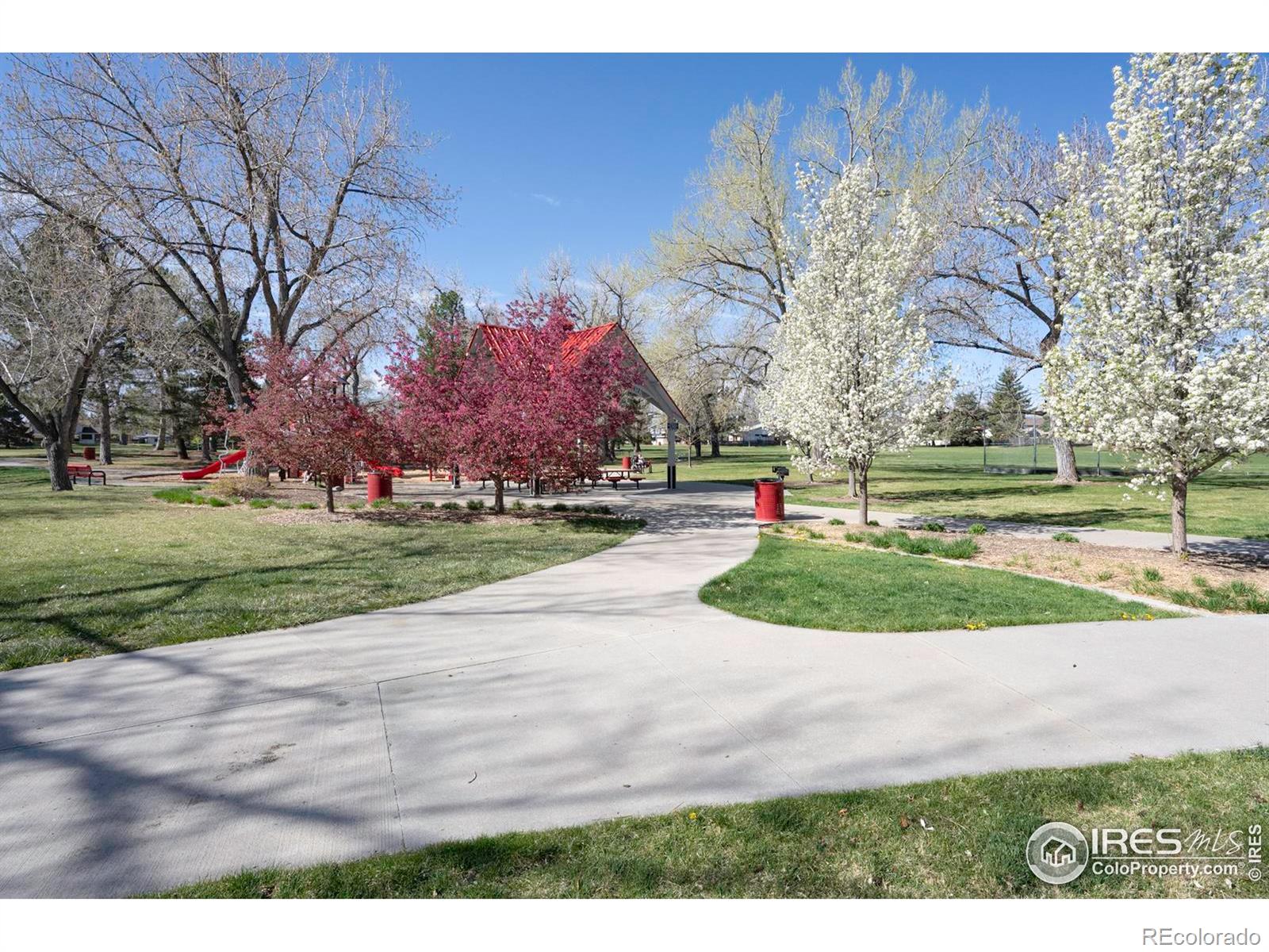 MLS Image #24 for 8479  everett way,arvada, Colorado