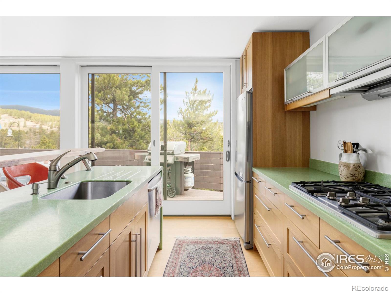 MLS Image #12 for 6 e pine street,nederland, Colorado