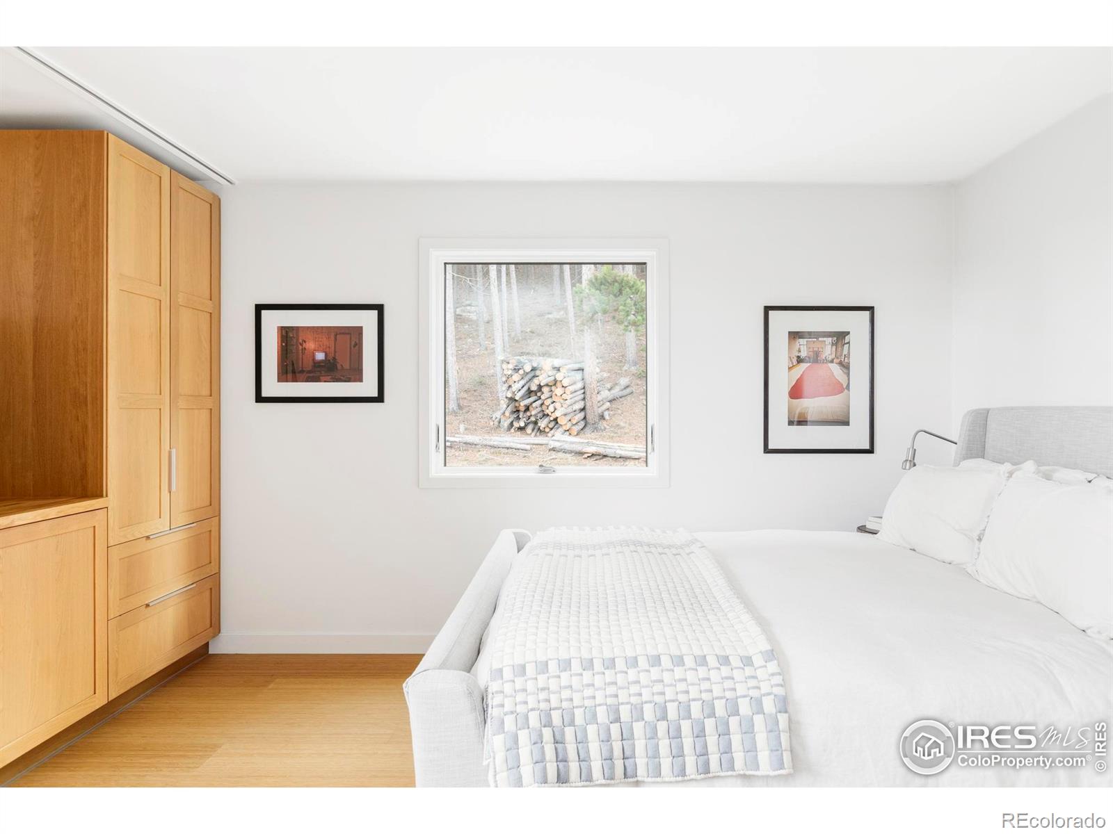 MLS Image #20 for 6 e pine street,nederland, Colorado