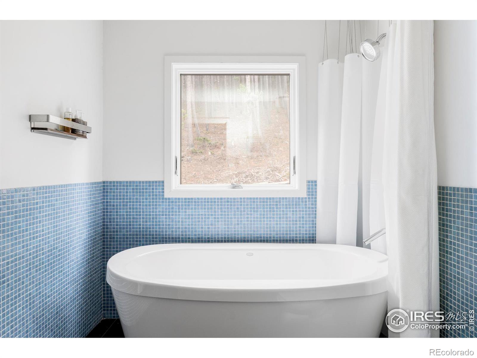 MLS Image #21 for 6 e pine street,nederland, Colorado