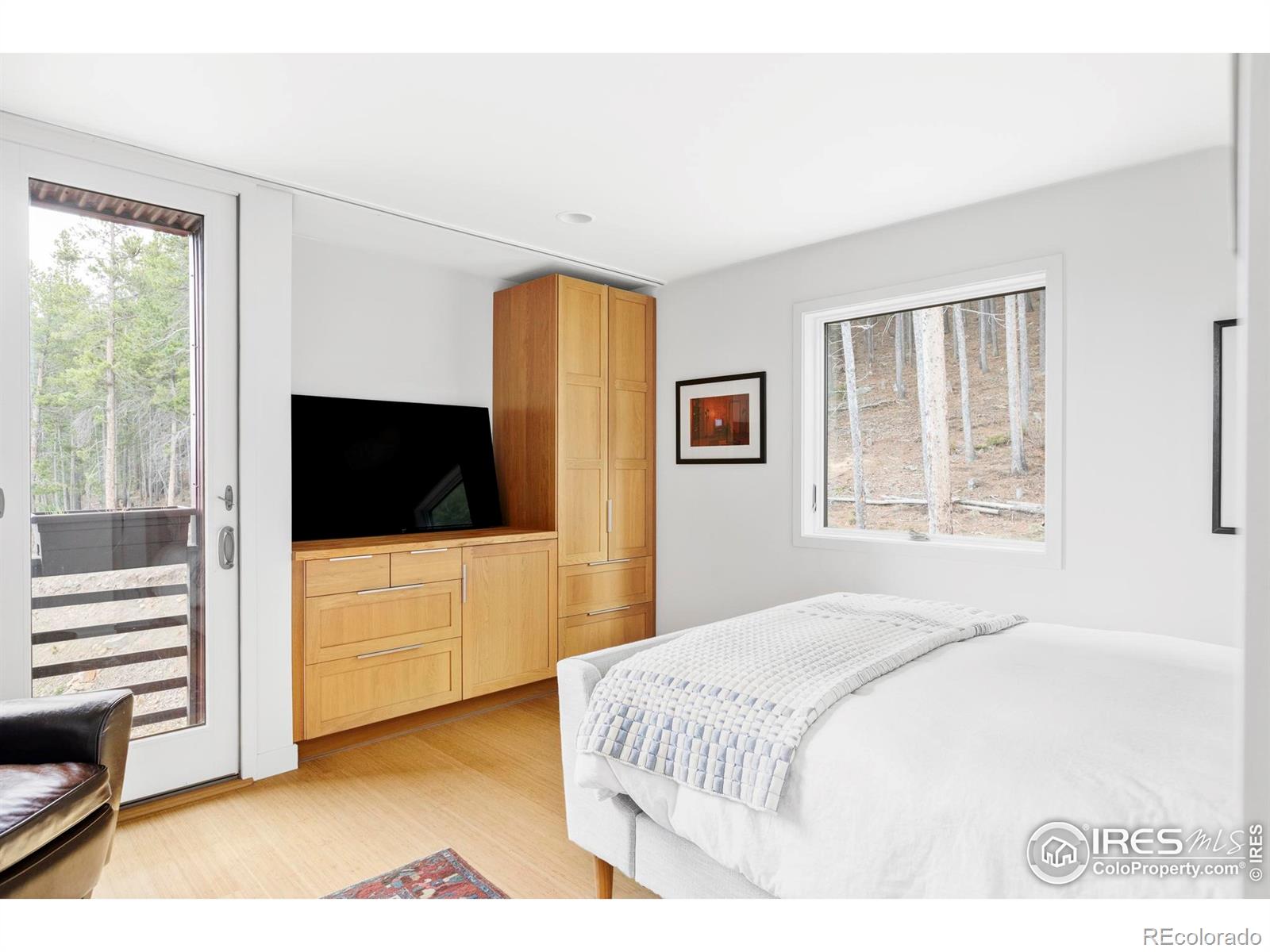 MLS Image #24 for 6 e pine street,nederland, Colorado