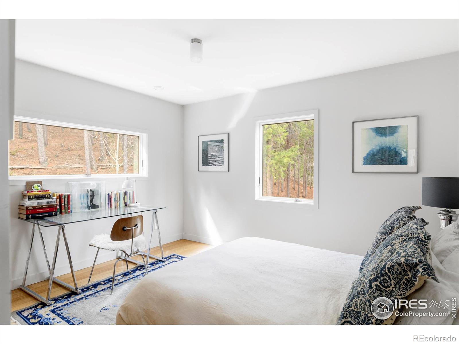 MLS Image #25 for 6 e pine street,nederland, Colorado