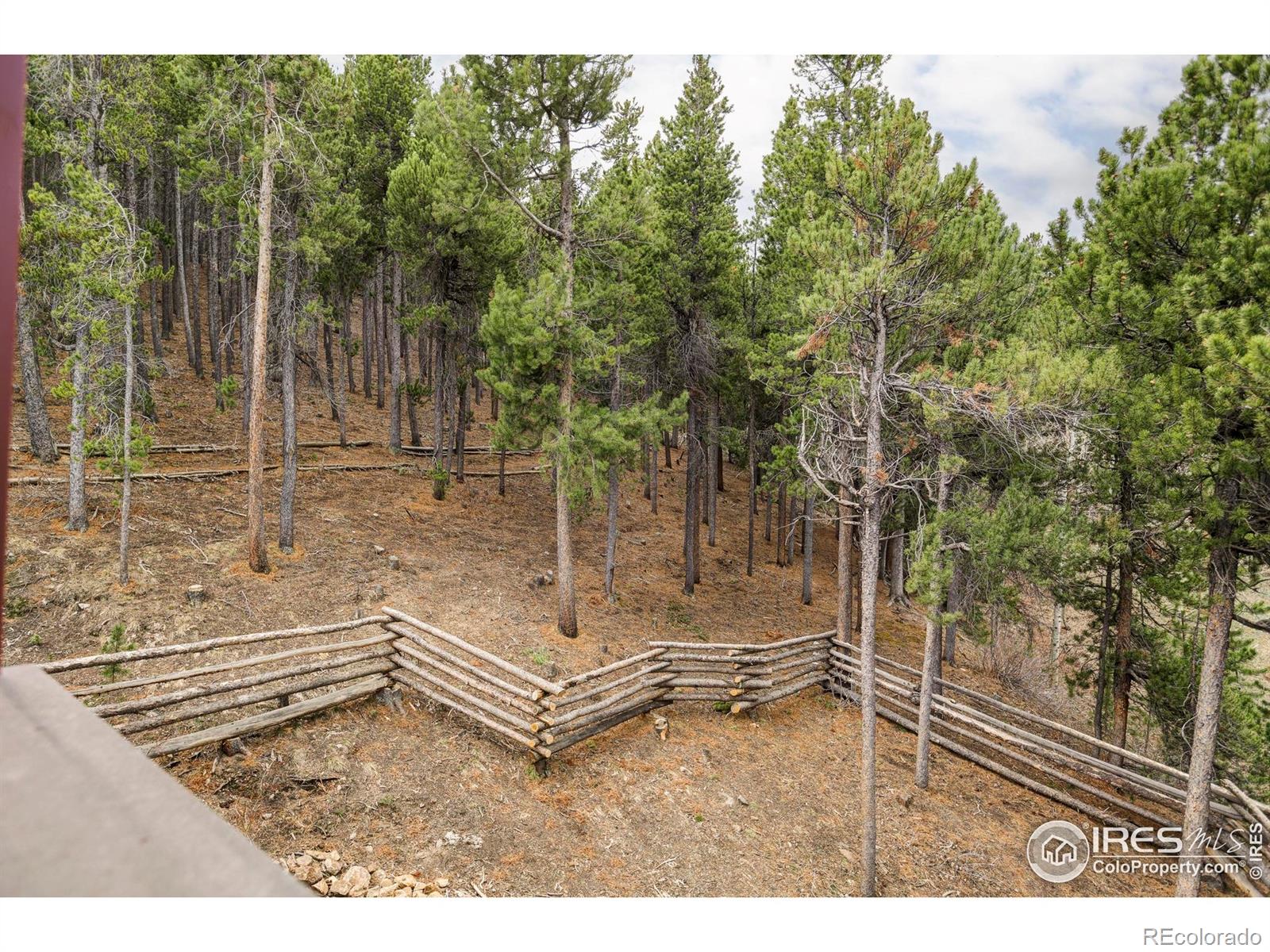 MLS Image #35 for 6 e pine street,nederland, Colorado