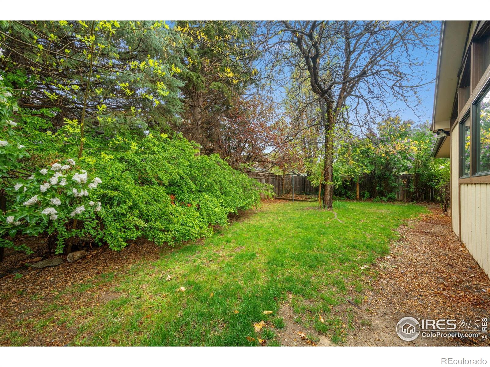 MLS Image #35 for 2824  fauborough court,fort collins, Colorado