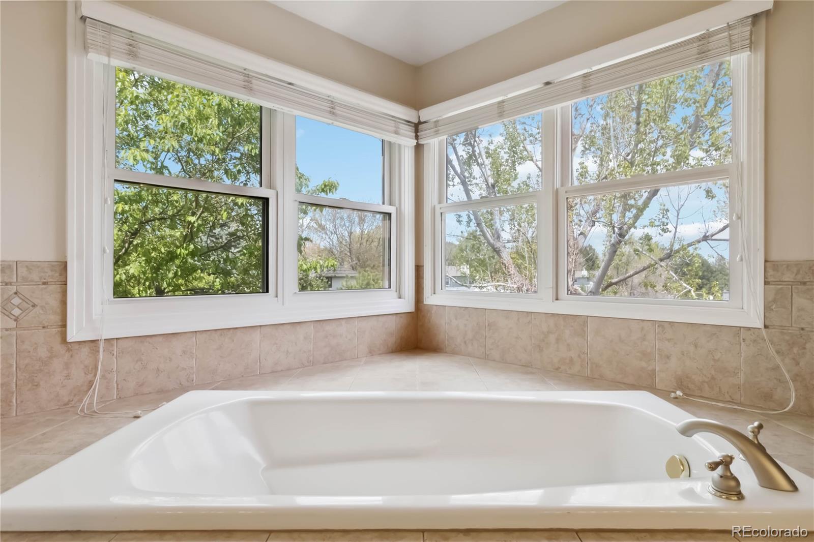 MLS Image #23 for 11302 e ida court,englewood, Colorado
