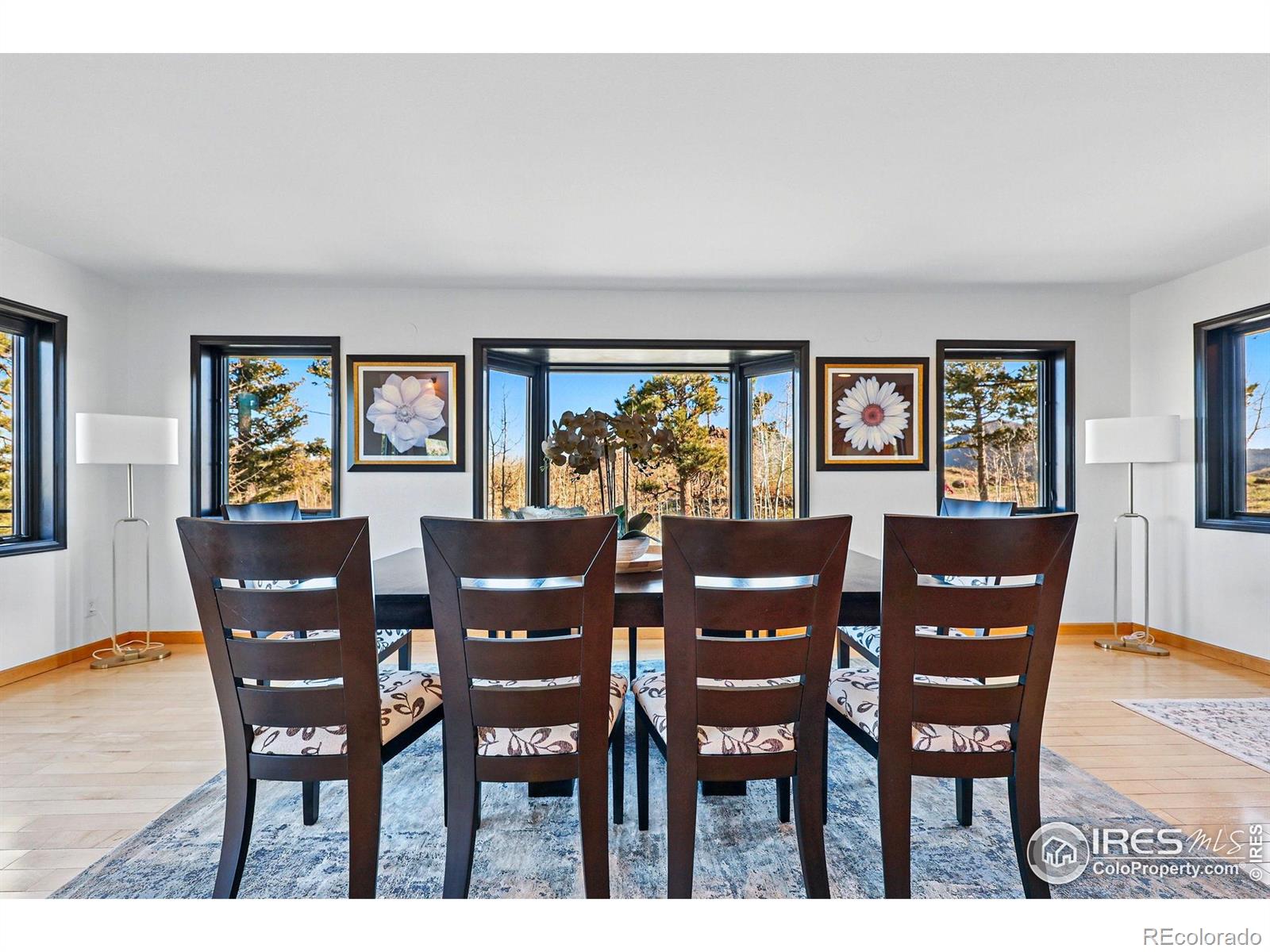 MLS Image #7 for 98  rim road,boulder, Colorado