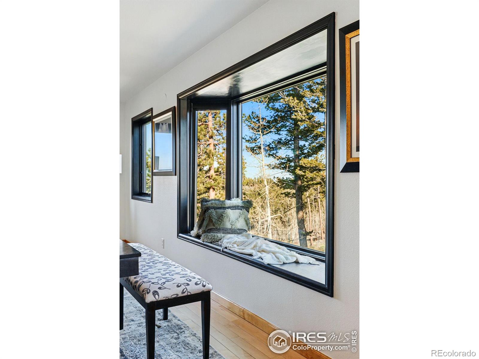 MLS Image #8 for 98  rim road,boulder, Colorado