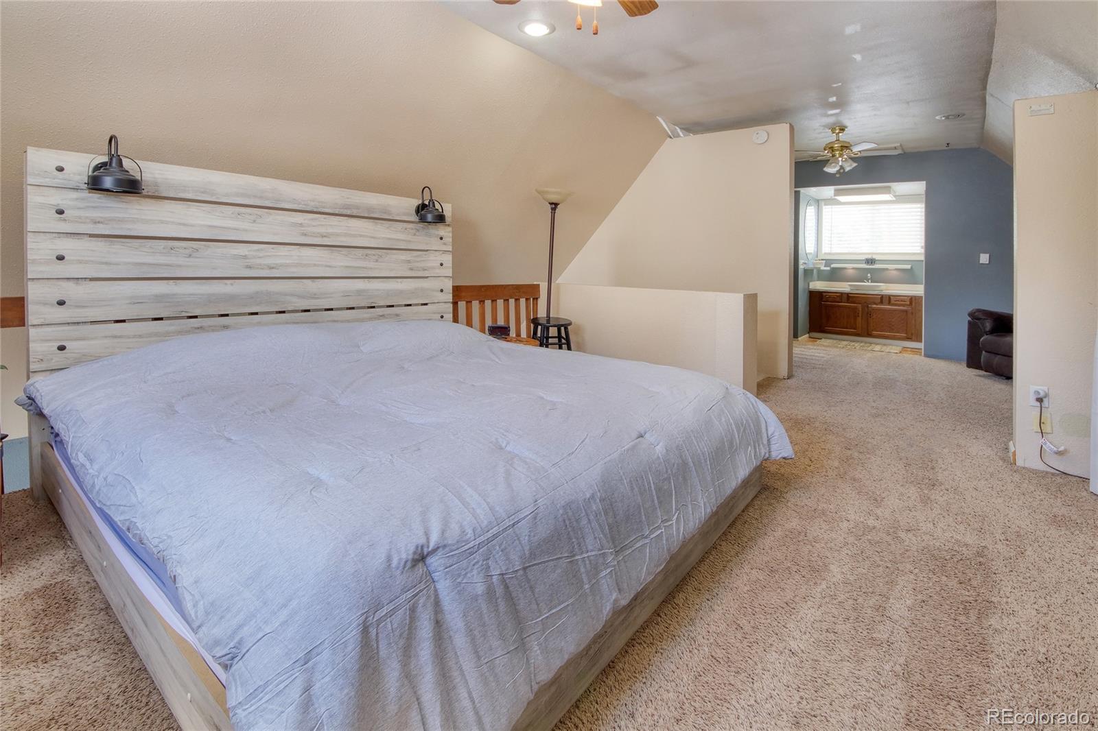 MLS Image #19 for 397  will scarlet drive,divide, Colorado