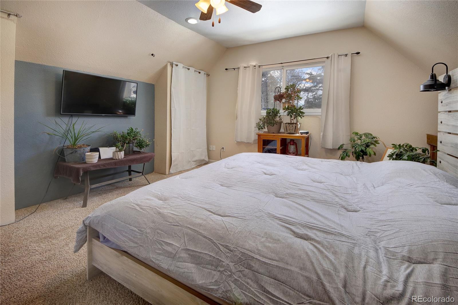 MLS Image #20 for 397  will scarlet drive,divide, Colorado