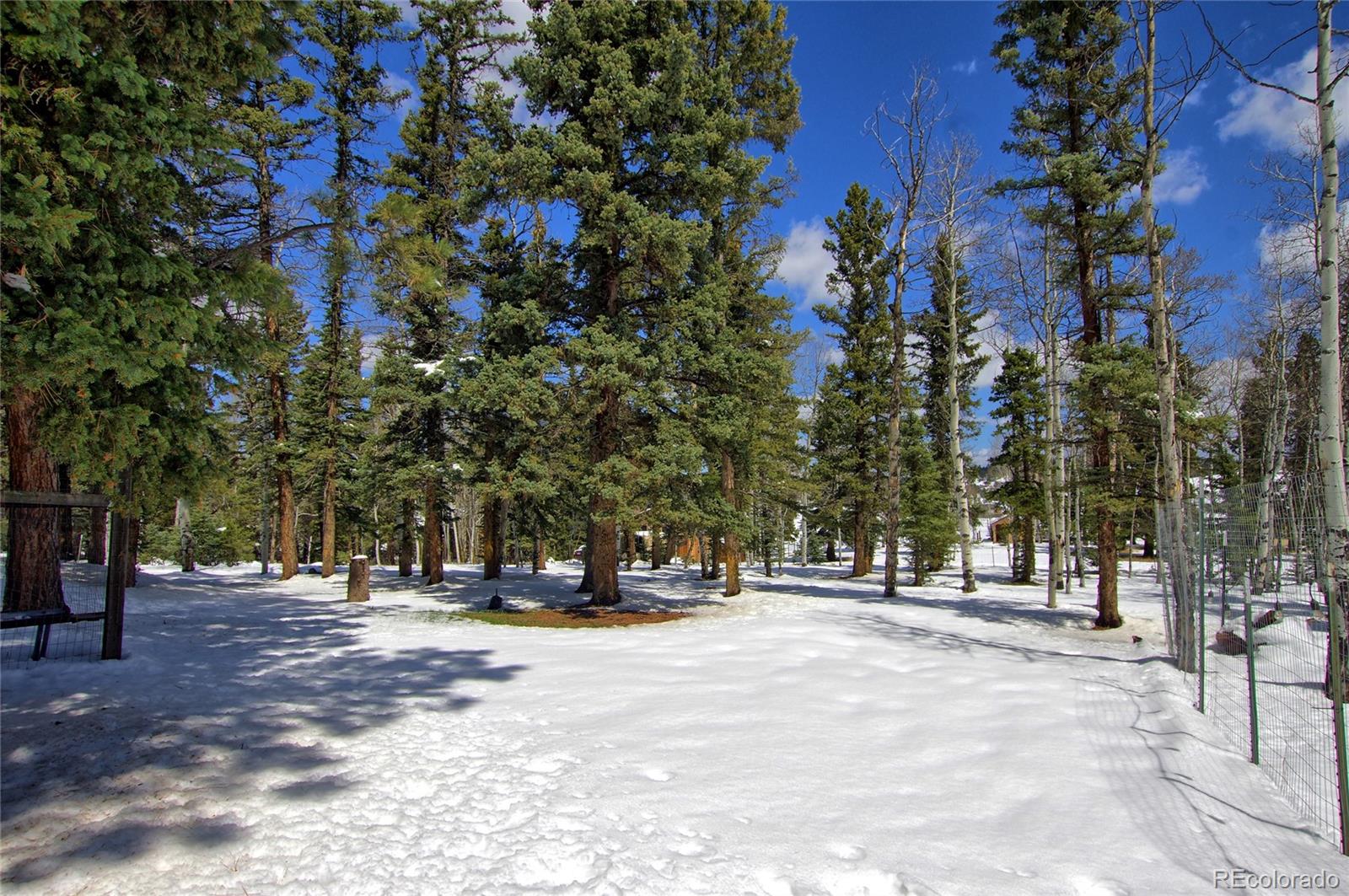 MLS Image #29 for 397  will scarlet drive,divide, Colorado