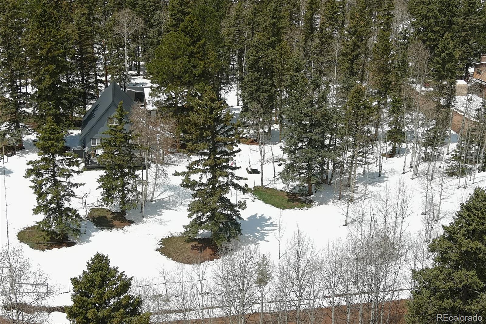 MLS Image #32 for 397  will scarlet drive,divide, Colorado