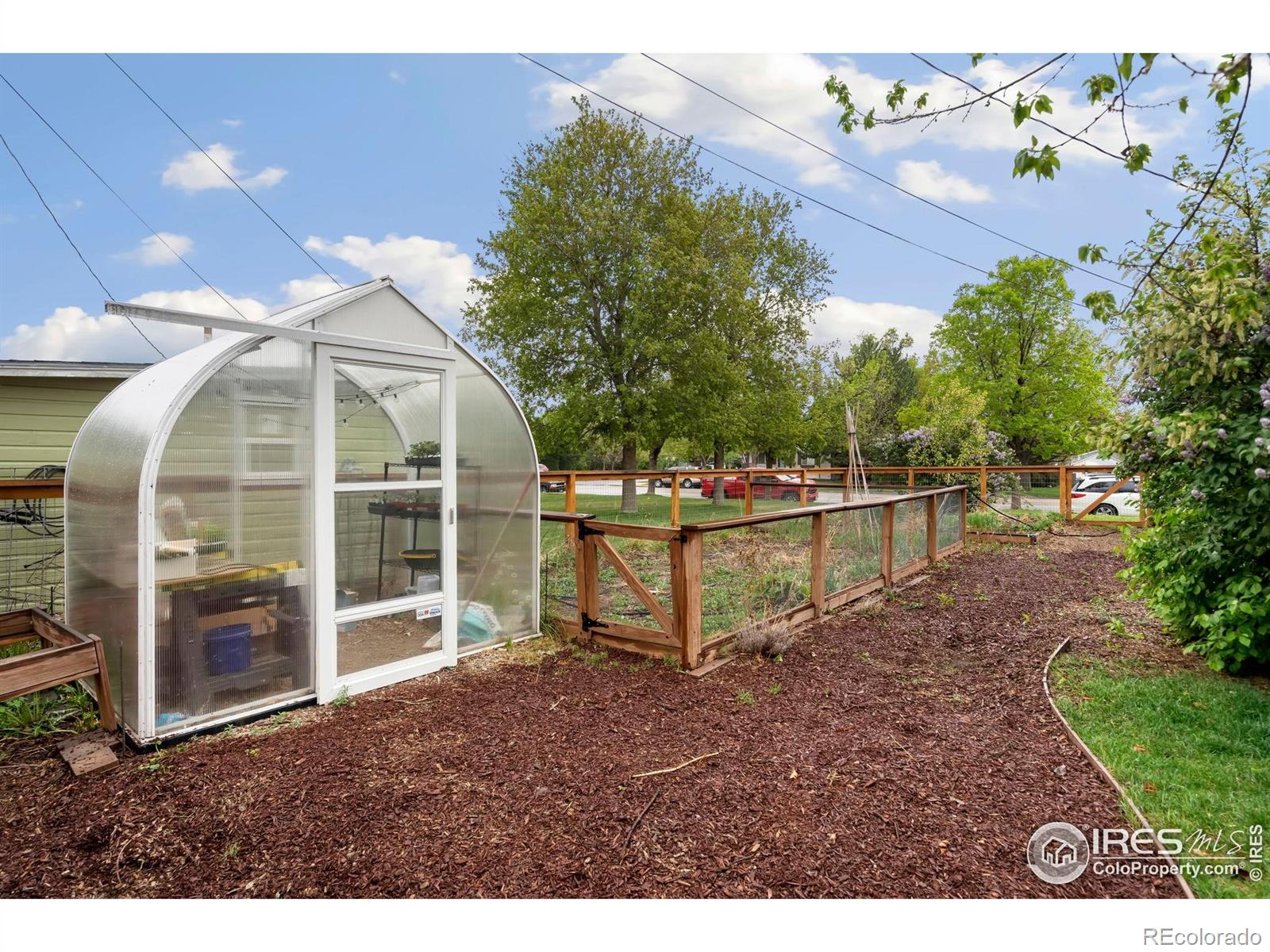 MLS Image #26 for 108  walnut street,windsor, Colorado