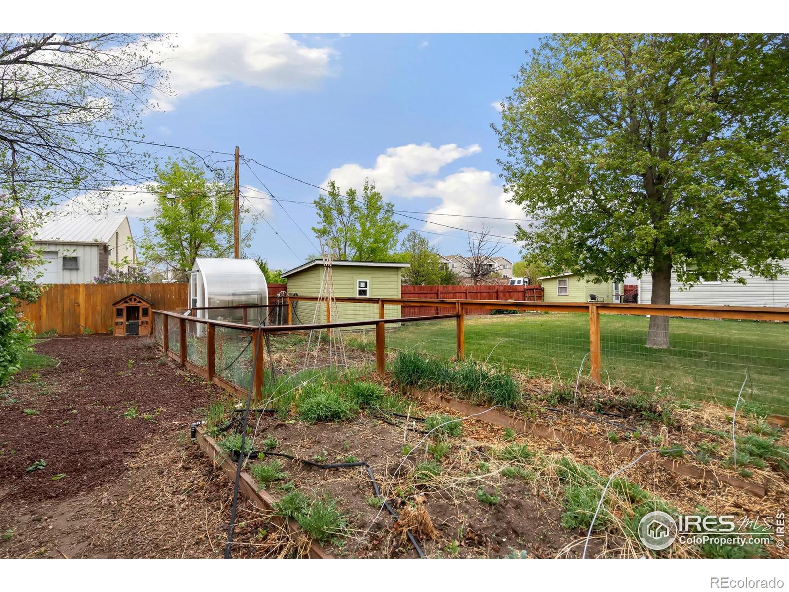 MLS Image #27 for 108  walnut street,windsor, Colorado