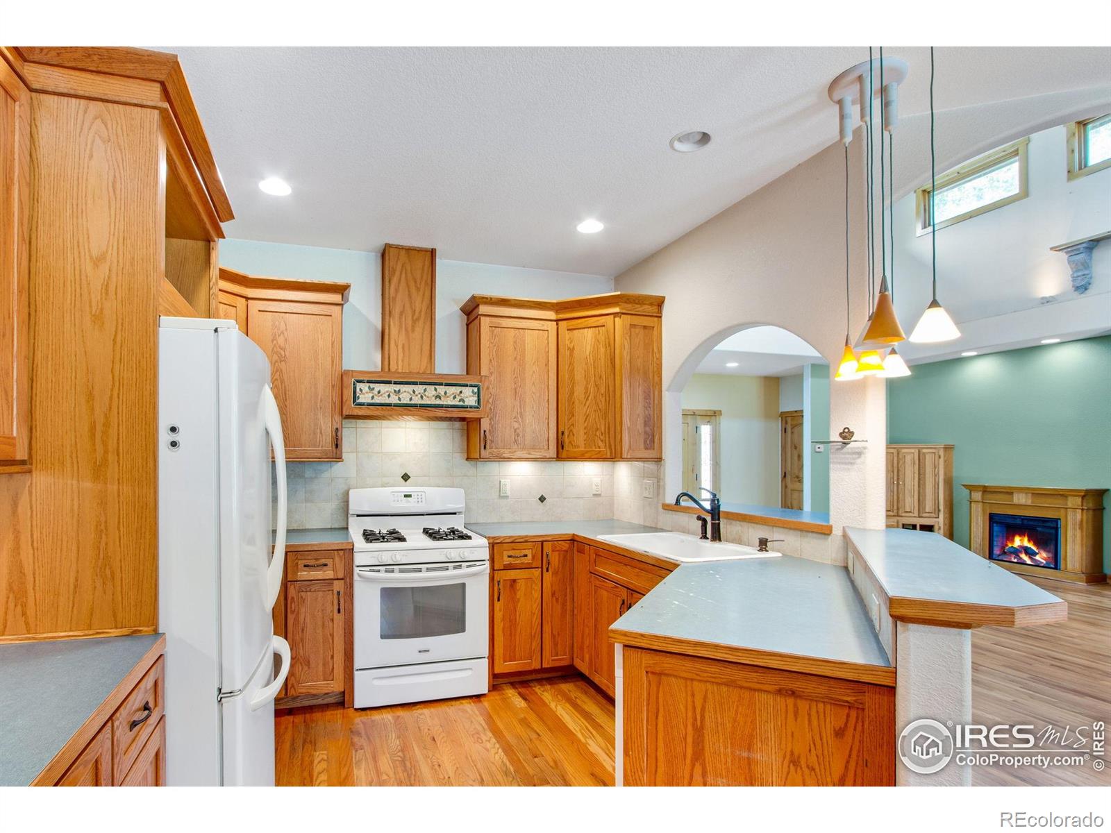 MLS Image #13 for 1268  ohana way,bellvue, Colorado