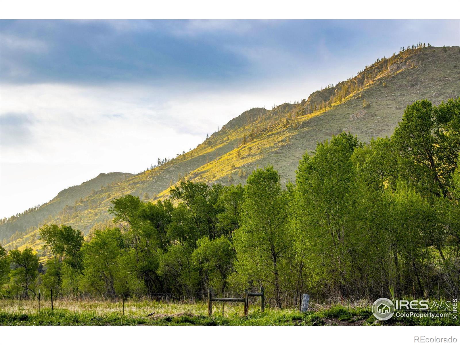 MLS Image #35 for 1268  ohana way,bellvue, Colorado