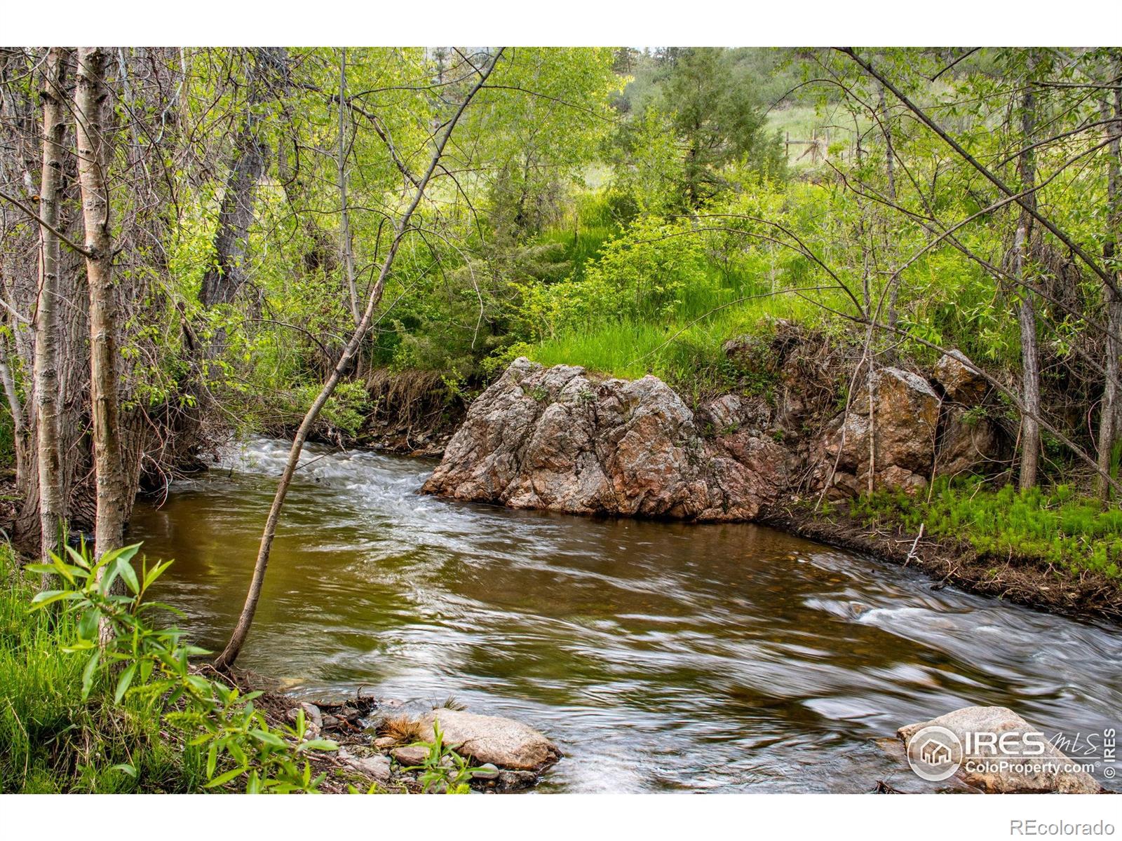 MLS Image #5 for 1268  ohana way,bellvue, Colorado