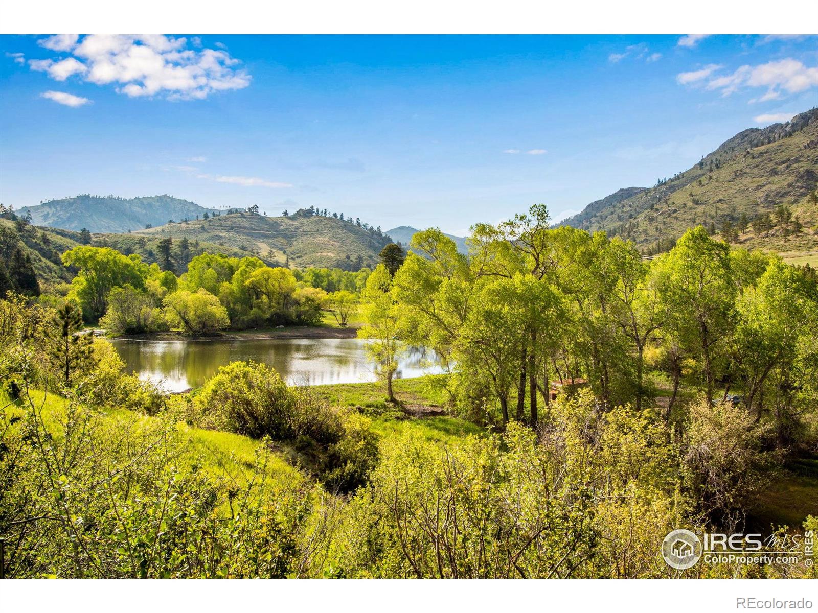 MLS Image #7 for 1268  ohana way,bellvue, Colorado