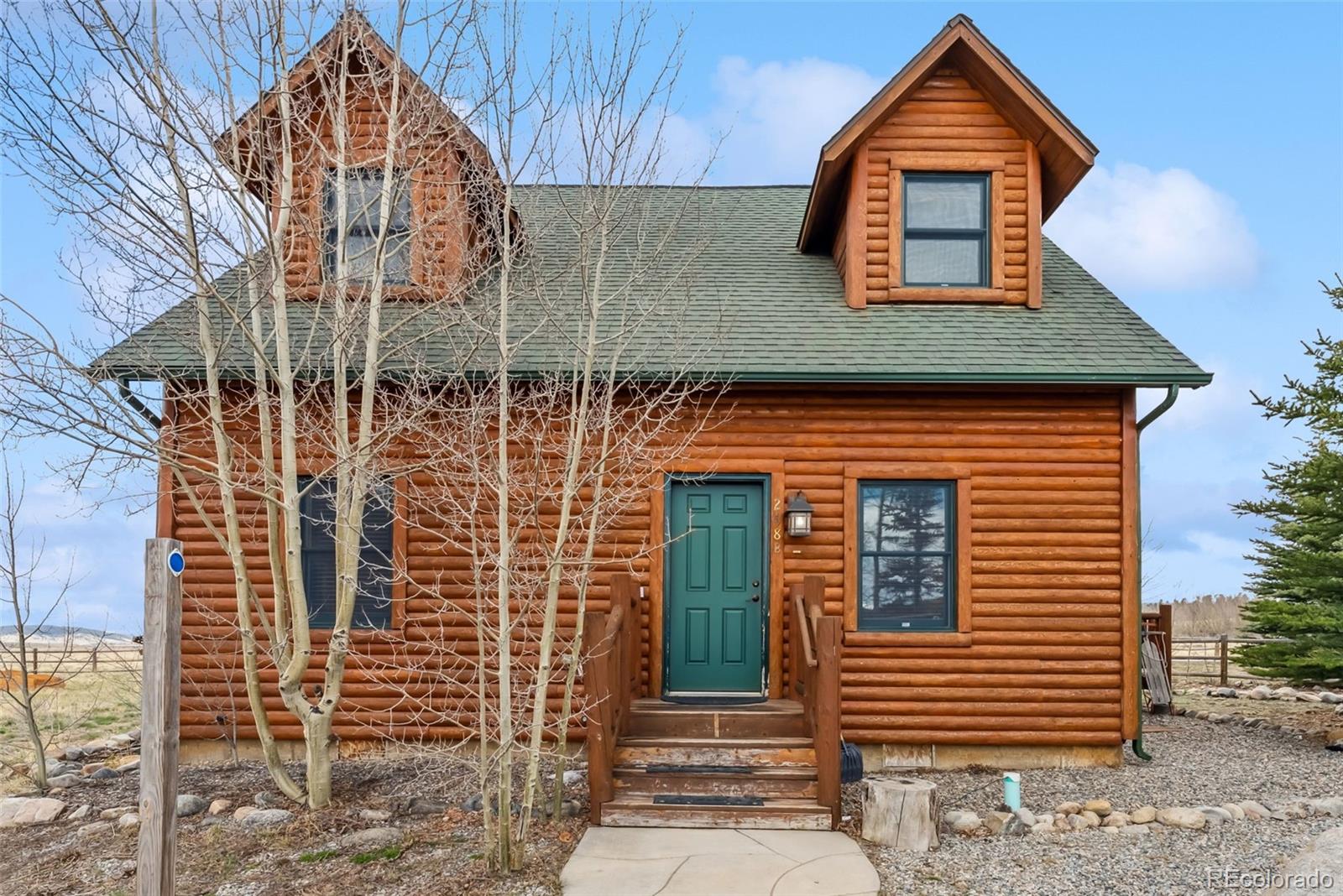 MLS Image #0 for 268 b  fuller drive,fairplay, Colorado