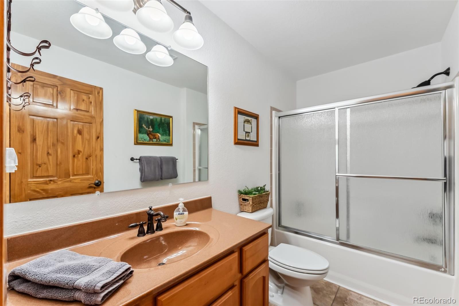 MLS Image #10 for 268 b  fuller drive,fairplay, Colorado
