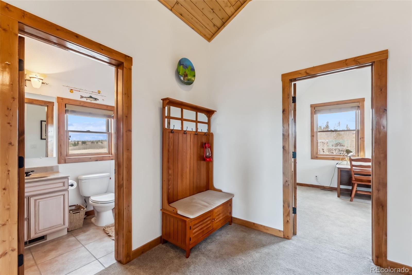 MLS Image #16 for 268 b  fuller drive,fairplay, Colorado