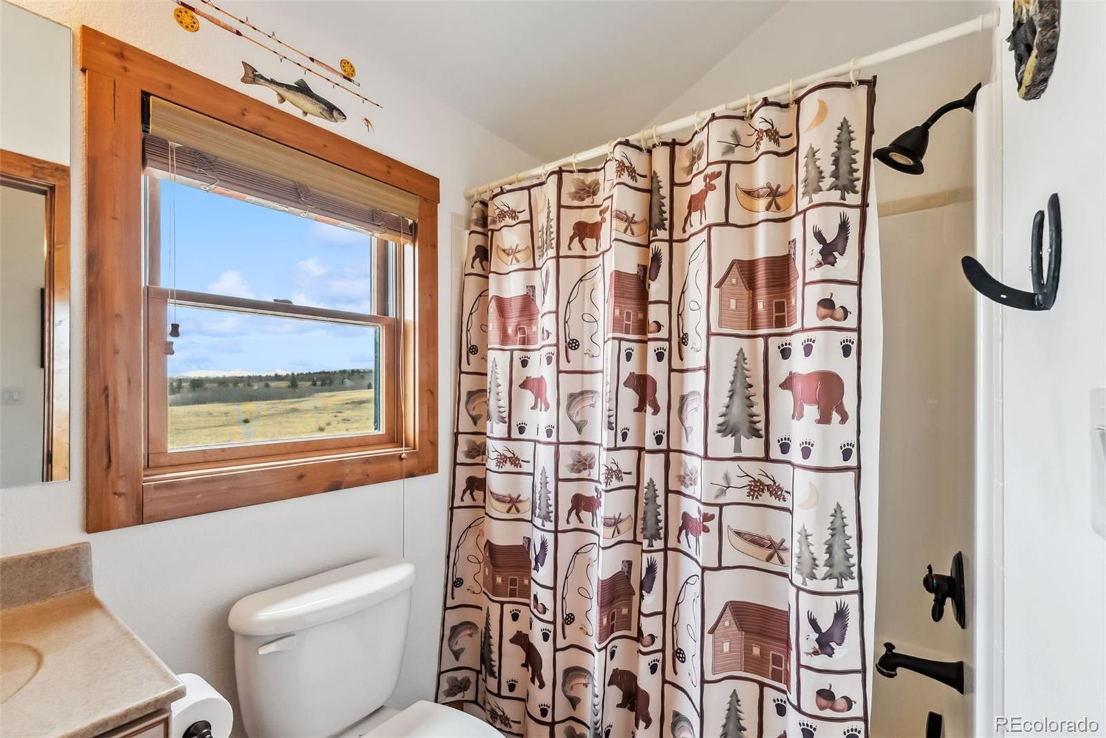 MLS Image #19 for 268 b  fuller drive,fairplay, Colorado