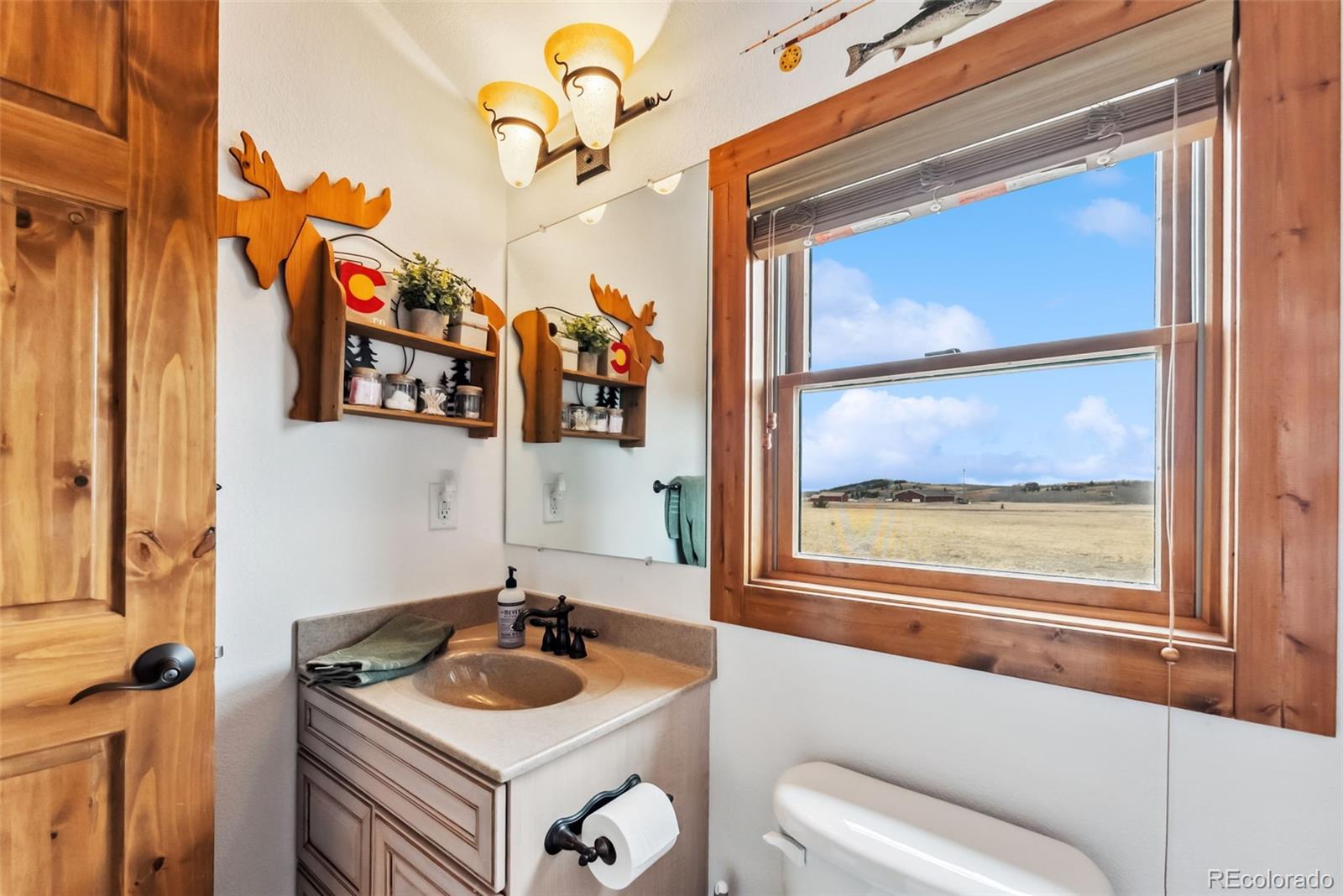 MLS Image #20 for 268 b  fuller drive,fairplay, Colorado