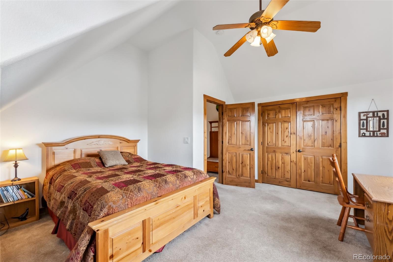 MLS Image #24 for 268 b  fuller drive,fairplay, Colorado