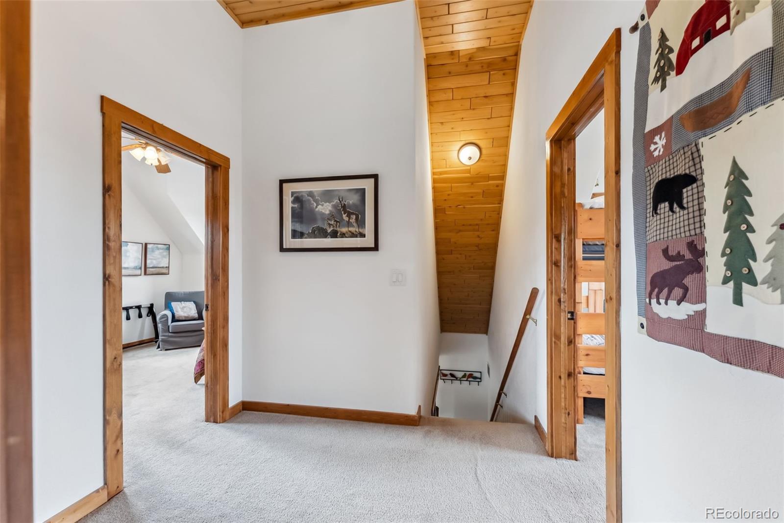 MLS Image #26 for 268 b  fuller drive,fairplay, Colorado