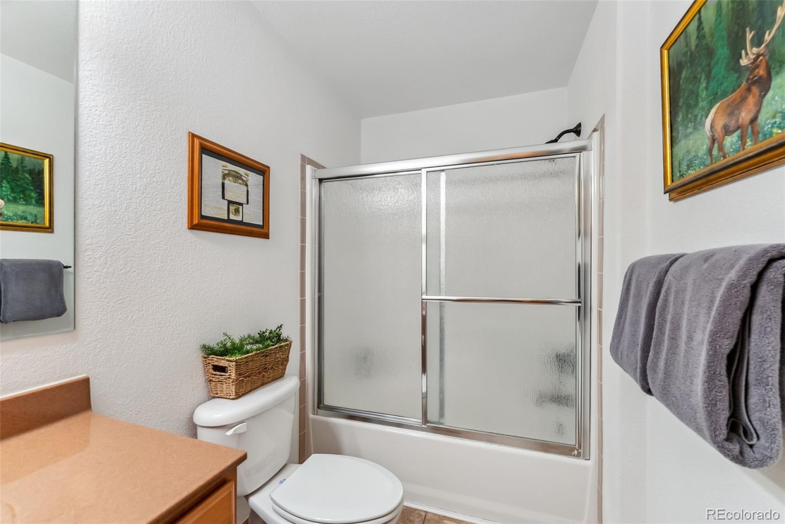 MLS Image #39 for 268 b  fuller drive,fairplay, Colorado