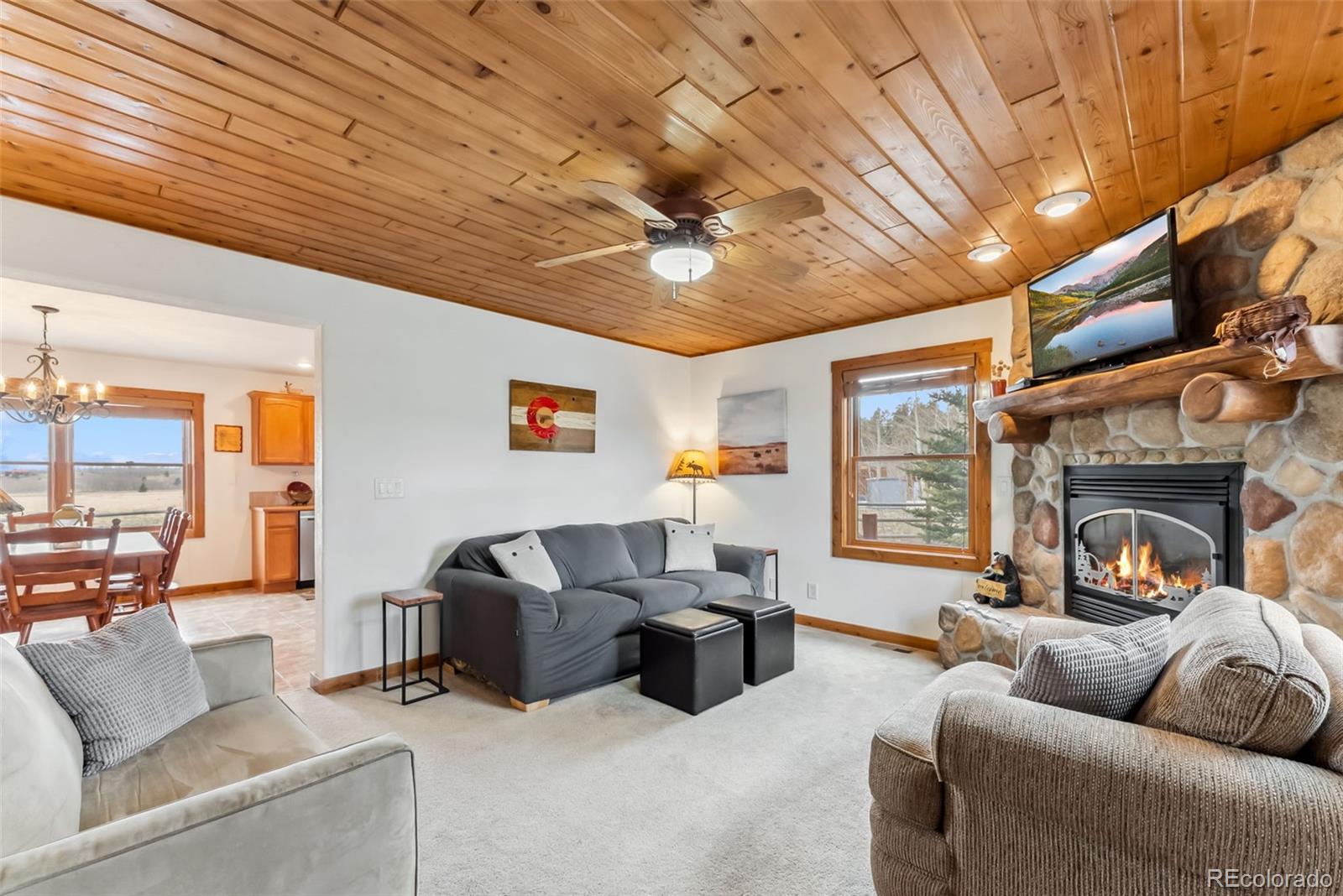 MLS Image #4 for 268 b  fuller drive,fairplay, Colorado