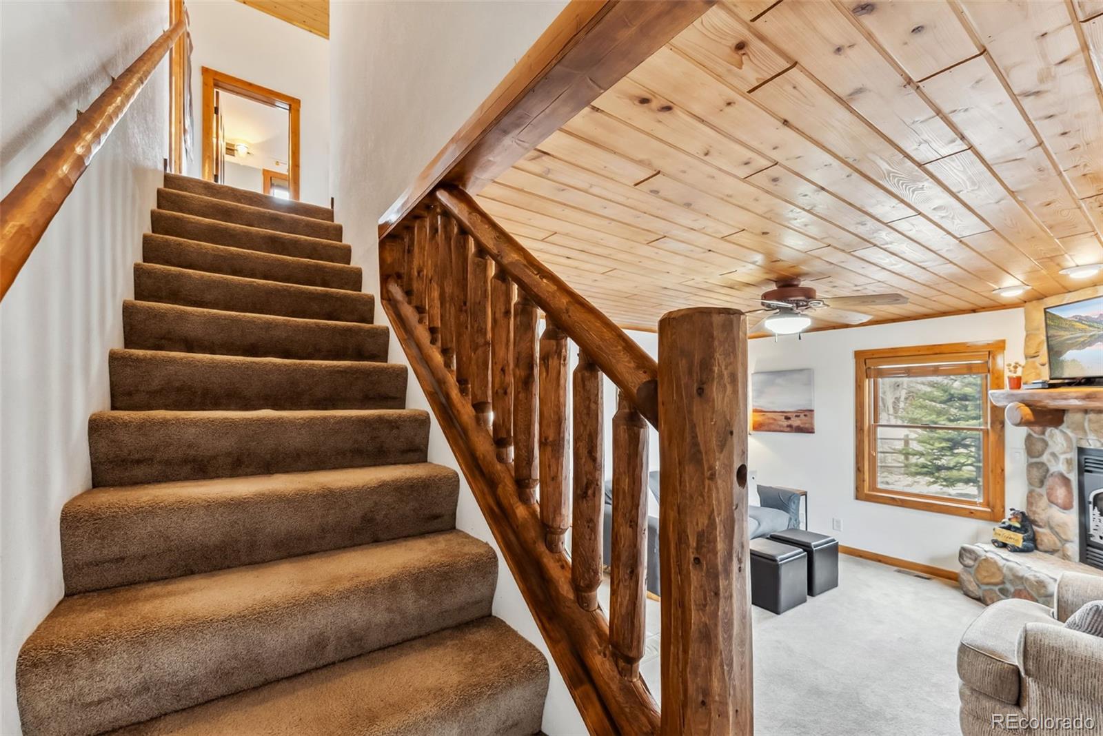 MLS Image #41 for 268 b  fuller drive,fairplay, Colorado