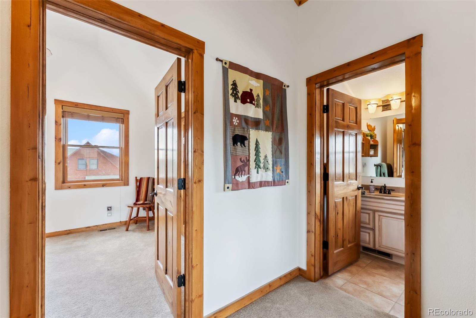MLS Image #42 for 268 b  fuller drive,fairplay, Colorado