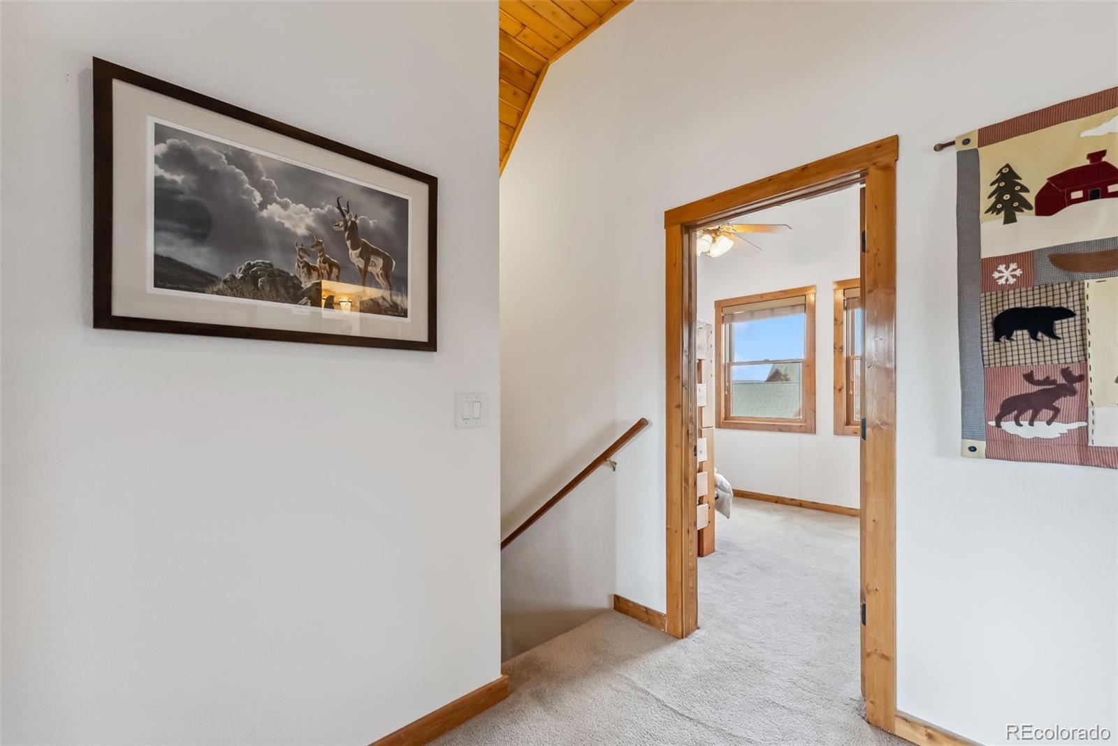 MLS Image #43 for 268 b  fuller drive,fairplay, Colorado