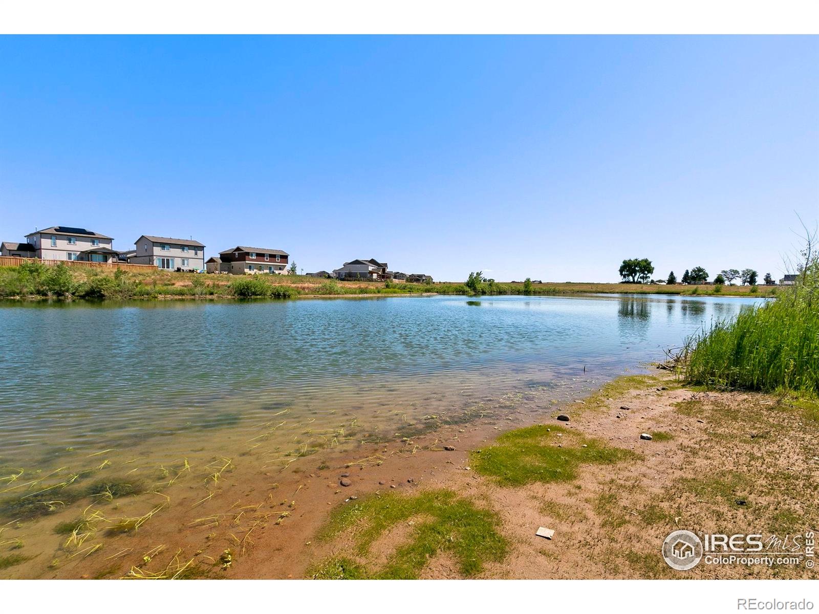 MLS Image #28 for 5433  wishing well drive,timnath, Colorado
