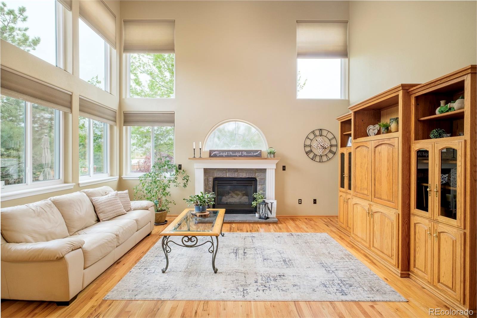 MLS Image #10 for 1210  snowberry lane,broomfield, Colorado